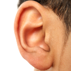 ear-02