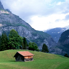 wooden house, barn, grass, trees, mountain-landscape